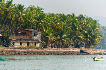 Old house and palm trees on the coast of Goa.. - obrazy, fototapety, plakaty