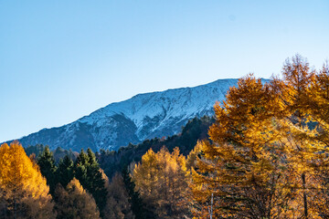 Fototapeta premium 紅葉と雪の薬師岳