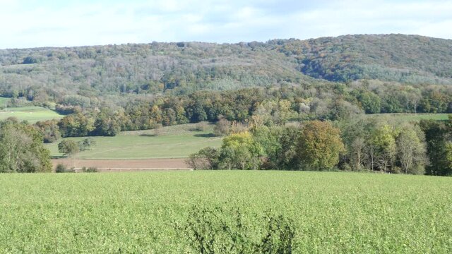 The landscape in Burgundy. The 22th october, France.
