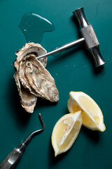 oyster with medical instruments