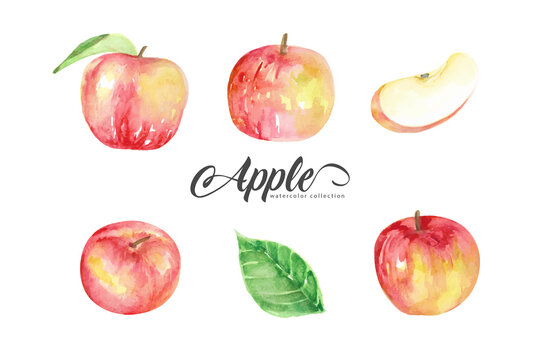 Red apple style watercolor collection