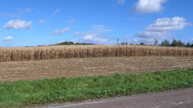 The landscape in Burgundy. The 22th october, France.