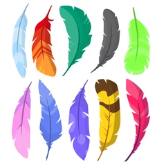 Papier Peint photo Plumes Set of colored pens isolated on white background.Bird feather and decoration concept.Сartoon style