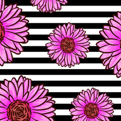 Pink flowers on a striped background. Exotic pattern of pink daisies