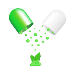 Herbal capsule with supplements. Alternative medicine concept.