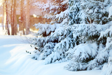 Snowy winter landscape with forest. Frosty, cold weather. Copy space