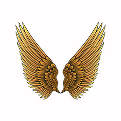 Wings vector illustration