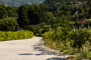 path in the park near island Sveti-Stefan, Budva in Montenegro, Europe, Adriatic Sea and mountains