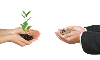 Man Investing to green life
