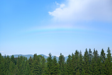Rainbow above spruce forest and mountain range.
