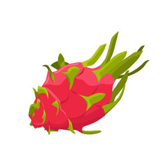 Flat vector of  Dragon fruit or Pitaya isolated on white background. Flat illustration graphic icon