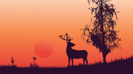Fototapeta na wymiar deer in the forest beautiful sunset scenery vector illustration