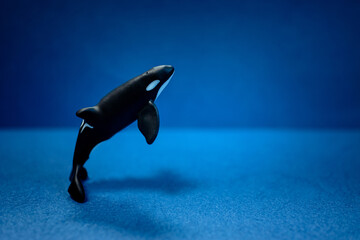 Figurine of a killer whale on a blue background. Artificial killer whale on a blue background and...