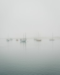 Fototapeta na wymiar Boats on a foggy morning in Morro Bay, California