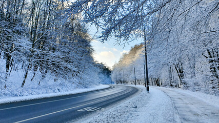 Fototapeta premium Winter forest. Street and sidewalk in a snowy forest, without people.