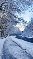Winter forest. Street and sidewalk in a snowy forest, without people.