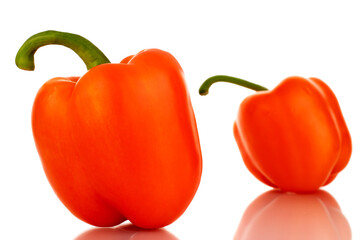 Two ripe orange sweet peppers, close-up, isolated on white.
