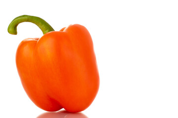 One ripe orange bell pepper, close-up, isolated on white.