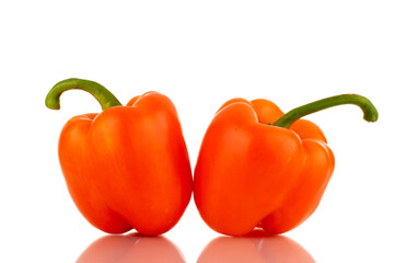 Two ripe orange sweet peppers, close-up, isolated on white.