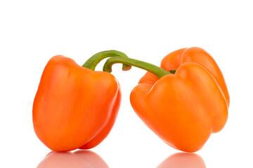 Two ripe orange sweet peppers, close-up, isolated on white.