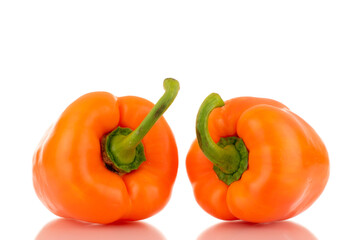 Two ripe orange sweet peppers, close-up, isolated on white.