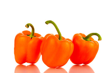 Three ripe orange sweet peppers, close-up, isolated on white.