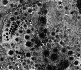 black paint Abstract art background texture watercolor on paper Modern design of posters, cards, invitations, wallpapers