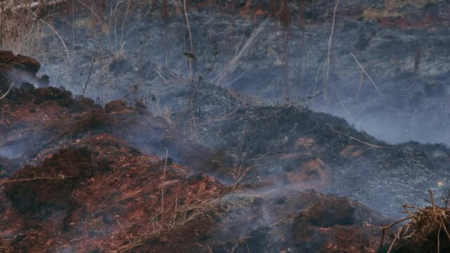A shot of peat bog fire