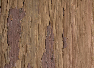 closeup new wood texture background