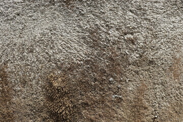 Old Wall Texture pattern of the stone wall Beautiful wall surface background pattern