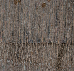 closeup new wood texture background
