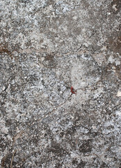 Old Wall Texture pattern of the stone wall Beautiful wall surface background pattern