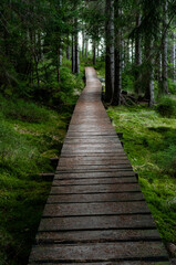 Drewniana kładka w górach. © Radek