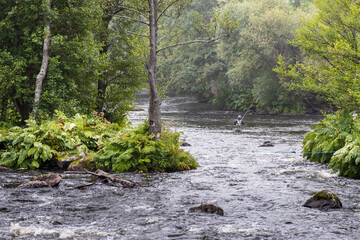 Naklejka na ściany i meble The beautiful salmon river Mörrum in Sweden