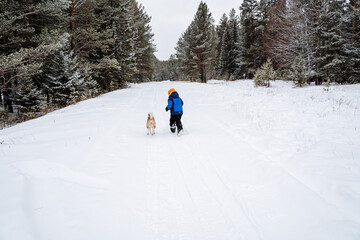 Fototapeta na wymiar A little boy runs with a dog along a snow-covered path in the woods. Walk in the fresh air. Survival in a forested area. Snow-covered forest landscapes