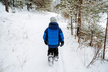 A little boy walks along a snow-covered path in the woods. Walk in the fresh air. Survival in a forested area. Snow-covered forest landscapes