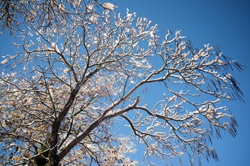 Winter in the Pyrenees