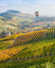 Rolgordijnen Hot air balloon over the beautiful hills and vineyards during fall season surrounding Barolo village. In the Langhe region, Cuneo, Piedmont, Italy. © e55evu