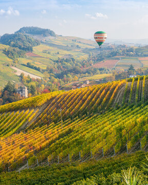 Hot air balloon over the beautiful hills and vineyards during fall season surrounding Barolo village. In the Langhe region, Cuneo, Piedmont, Italy.