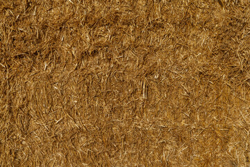 Background of dry straw stalks