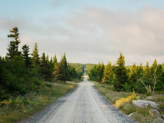 Road in Dolly Sods Wilderness, in Monongahela National Forest, West Virginia