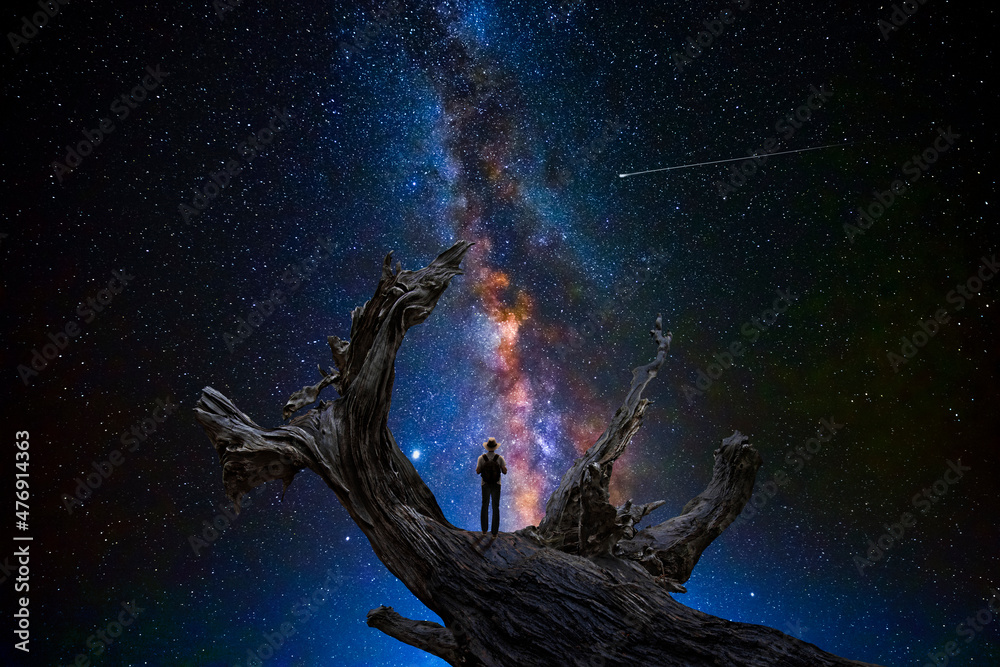 Wall mural man observes the universe on the dry trunk of a large tree