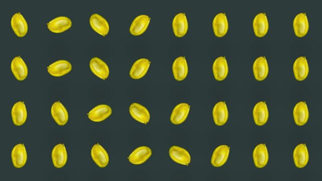 Colorful fruit pattern of fresh mango on green background. Seamless pattern with mango. Realistic animation. 4K video motion