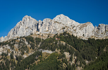 Fototapeta na wymiar Alpiner Bergblick im morgendlichen Licht an einem sonnigen Tag im Sommer im Tannheimer Tal in Tirol, Österreich
