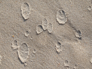When there is a quick storm on dry sand, heavy drops of rainwater form round sculptures. Conceptual image. Creativity that comes from nature.