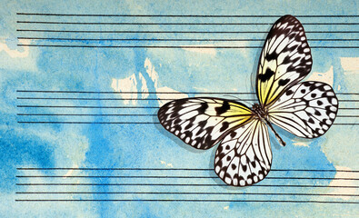 Colorful butterfly and notes. Butterfly melody. Photo of old music sheet in blue watercolor paint....
