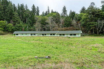 A deserted motel in the woods near the Oregon coast
