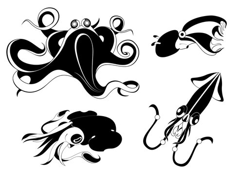 Original decor sea life animal illustration set for design	