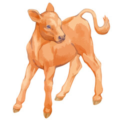  Vector illustration of baby cow.