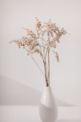 Beige dry flowers in a white vase. White table. 